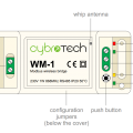 wm1_module_diagram.png
